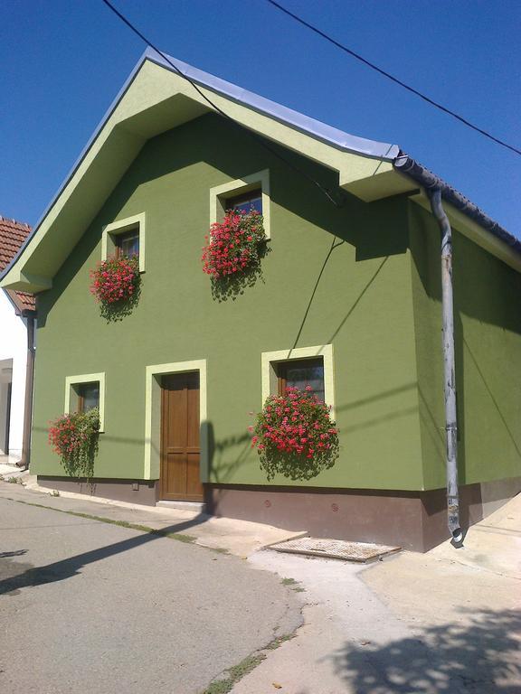 Penzion Andrea Velké Bílovice Dış mekan fotoğraf